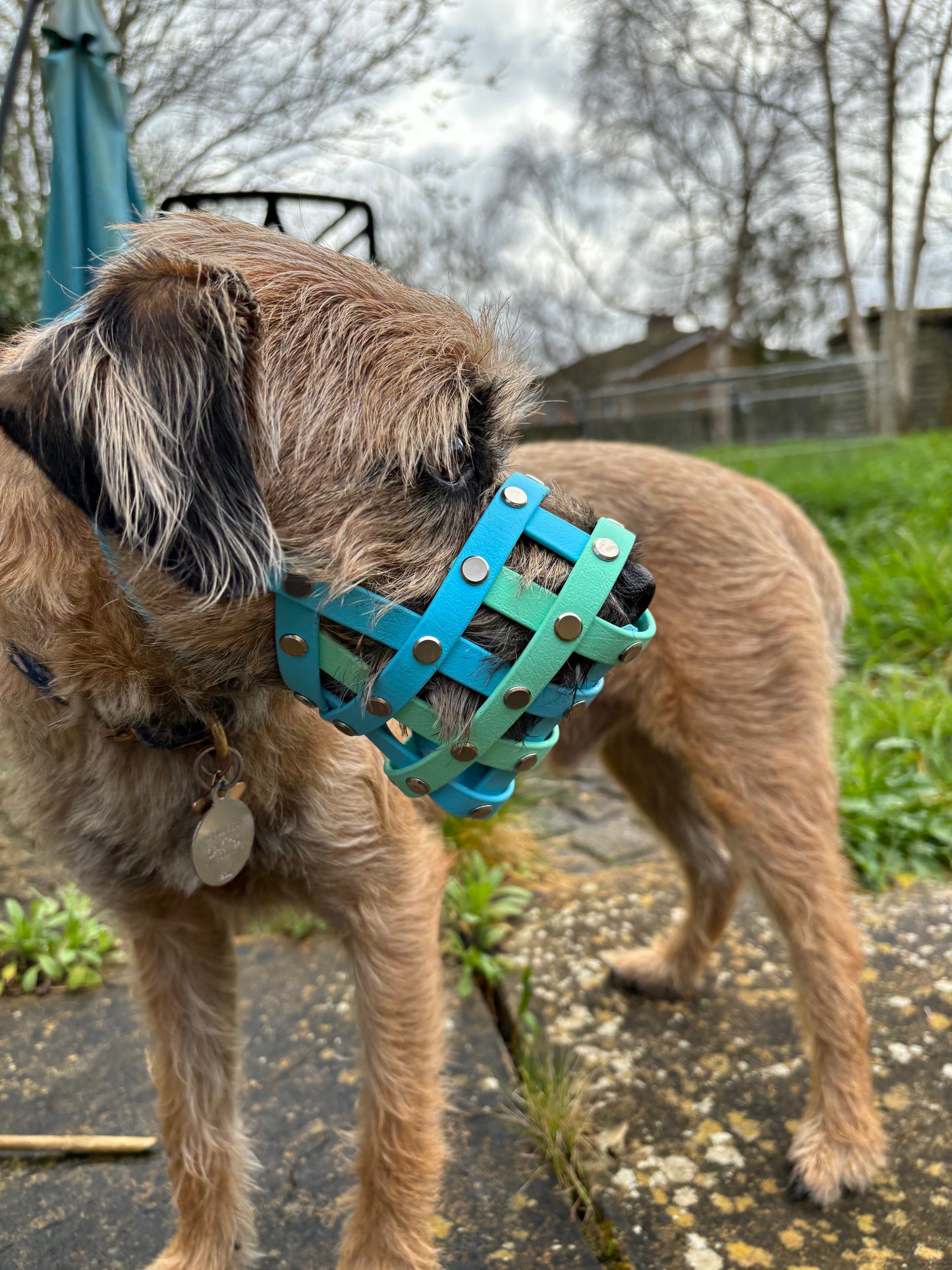 Custom dog muzzle