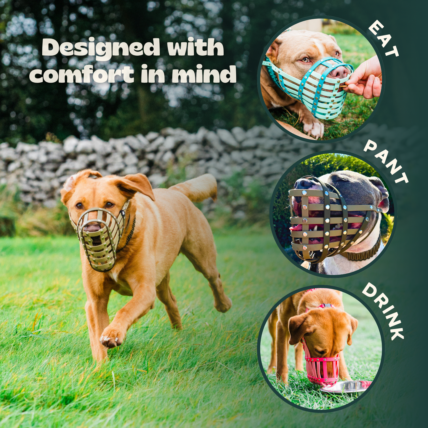 Custom dog muzzle