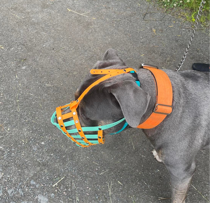 Dog Forehead Strap | Muzzle Stability Strap | Support Straps