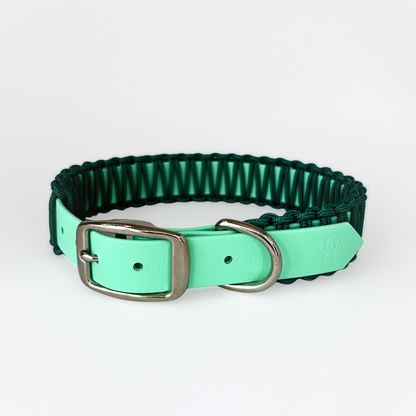 Signature collar