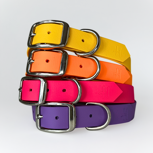 Classic collar