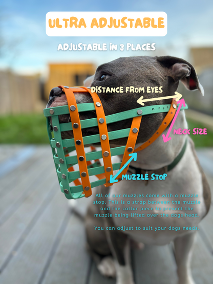 CUSTOM DOG MUZZLE