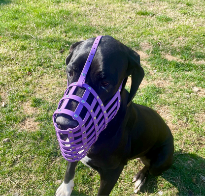 Dog Forehead Strap | Muzzle Stability Strap | Support Straps