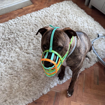 Dog Forehead Strap | Muzzle Stability Strap | Support Straps