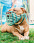 Comfortable Dog Muzzles | Custom Fit | Happy Muzzle Co.