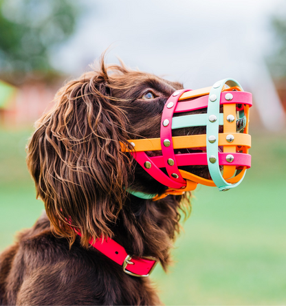 Custom dog muzzle