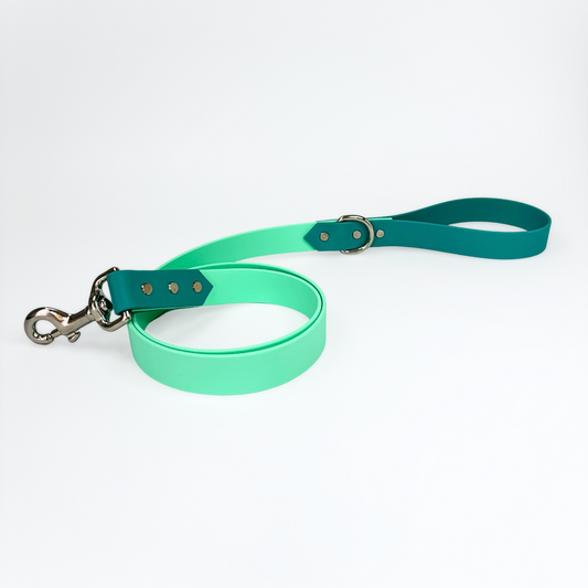 Signature leads