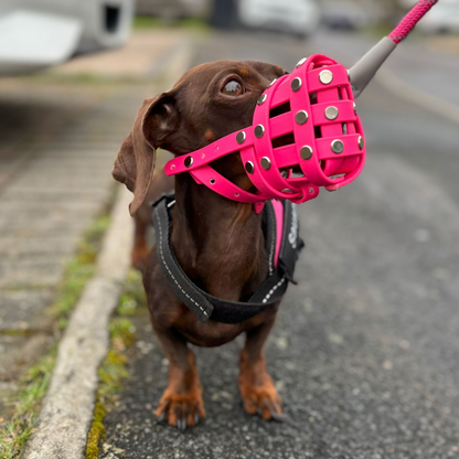 CUSTOM DOG MUZZLE